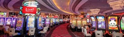 Trải nghiệm Live Casino với dealer thực tại z88